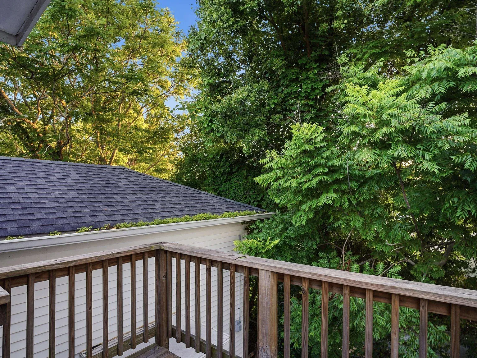 1 bed, 561 sqft, $1,100 — Photo 2
