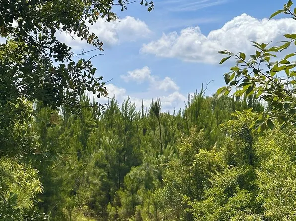 0 Moultrie Lenox Rd, Lenox, GA 31637