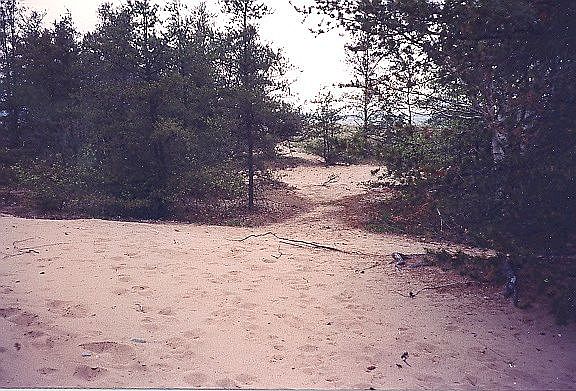 Almost to the shore.