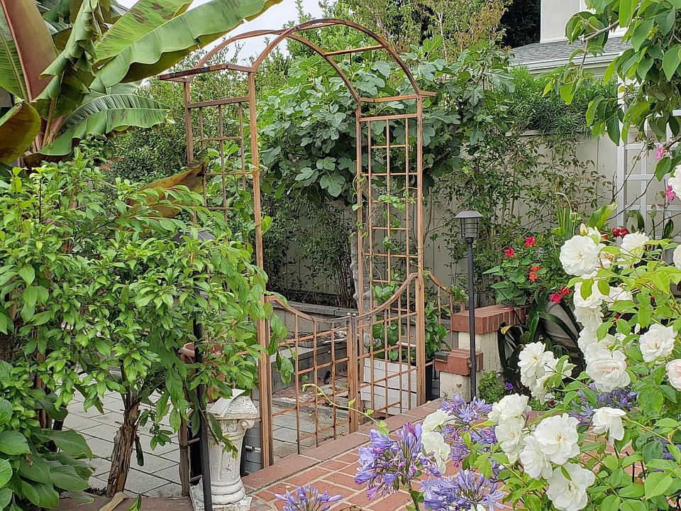 Backyard to guesthouse
