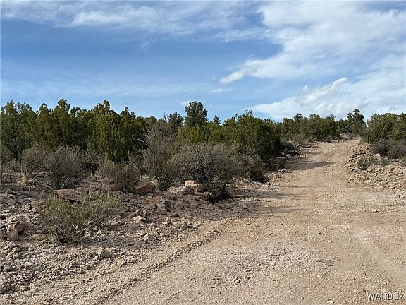 4th image of Lot 167 E Globe Willow Drive