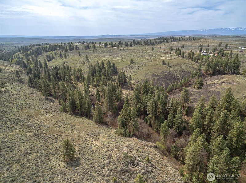 2nd image of 105 Wild Turkey Road