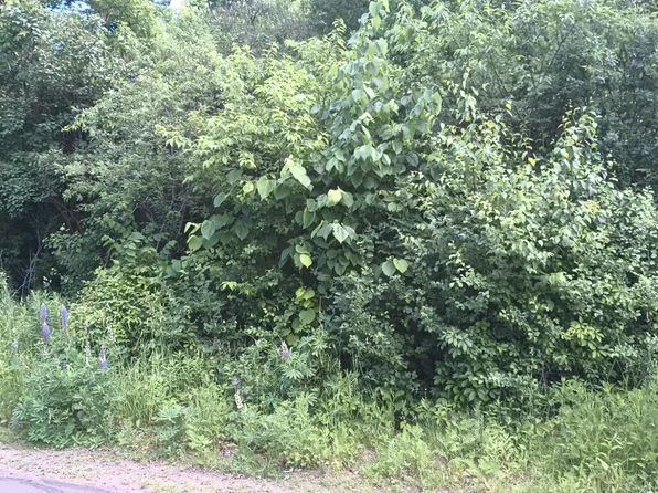 200 E Lime St, Ironwood, MI 49938