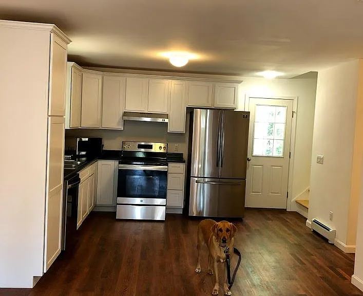 Open-concept Kitchen/living. (Pup not included!)