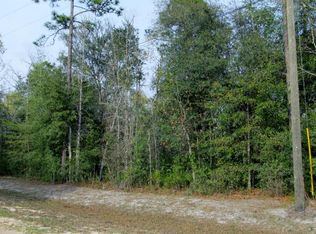 2939 Squirrel Ct, Middleburg, FL 32068