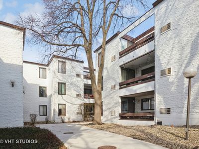 342 W Miner St APT 1A, Arlington Heights, IL, 60005