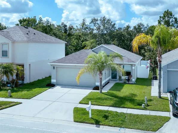 30516 BIRDHOUSE DRIVE, WESLEY CHAPEL, FL 33545