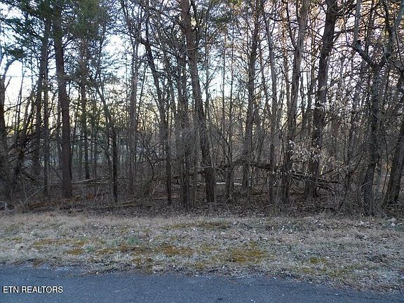 4th image of LOT 1060 Mountain View Ln