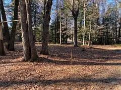 38 Dogwood Ln — Photo 6
