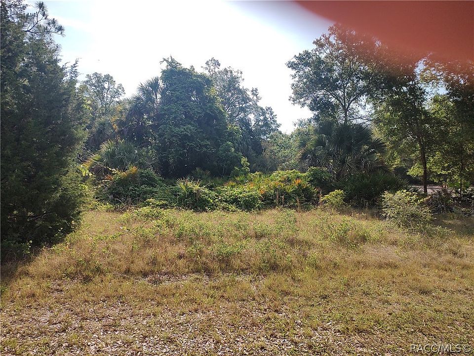 2nd image of 10349 N Coco Plumosa Dr