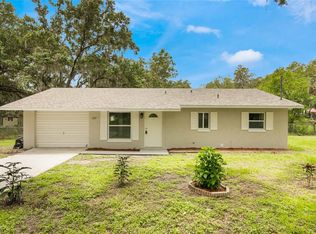 2317 Santy Williams Rd, Leesburg, FL 34748