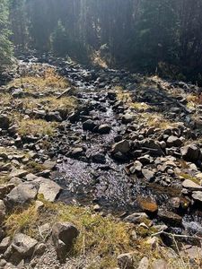 16667 Little Jesse MC, Nathrop, CO, 81236