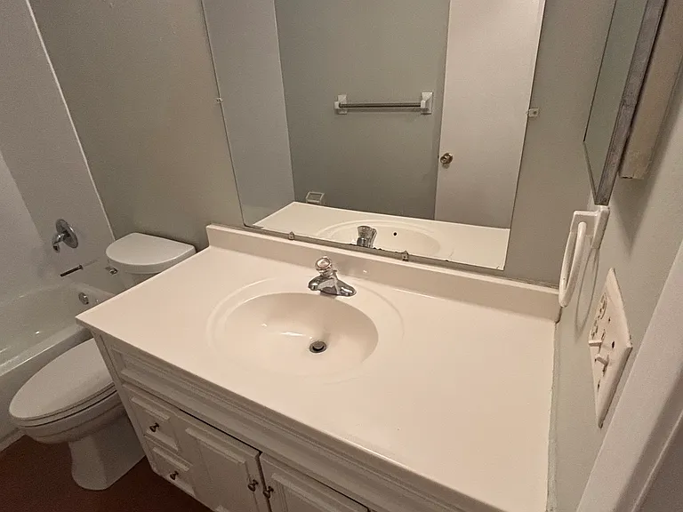 Brand New Toilet