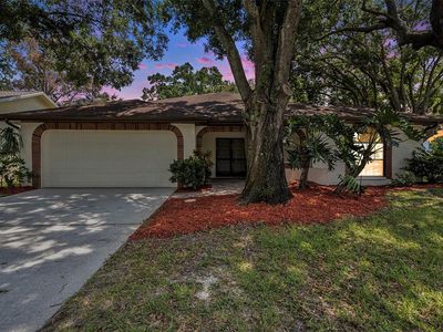 1426 Wicklow Dr, Palm Harbor, FL, 34684