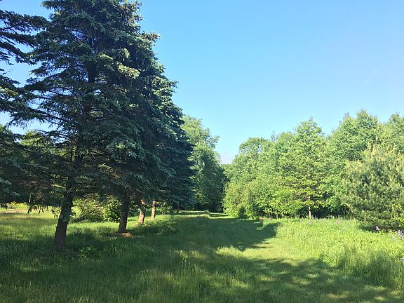 Late spring view from road