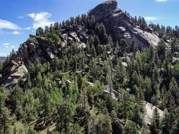 235 Hay Creek Road, Florissant, CO 80816