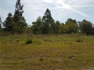 6653 N Elkcam Blvd, Citrus Springs, FL 34433