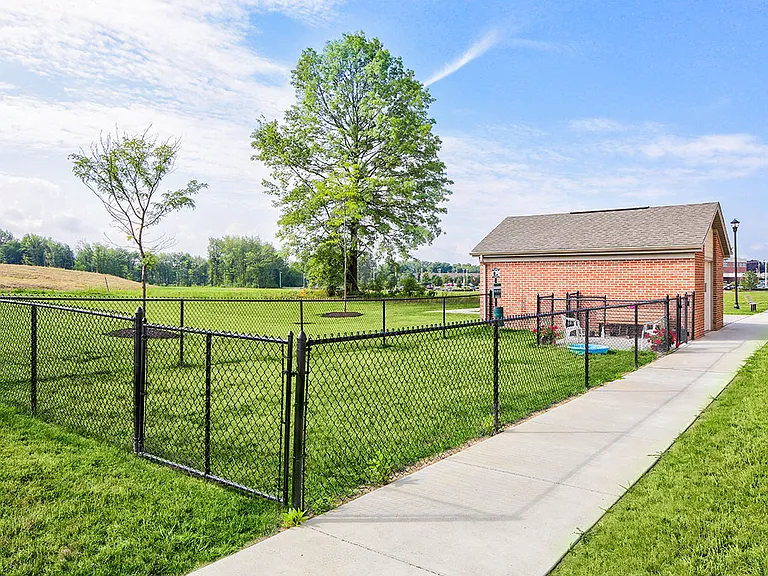 Dog park
