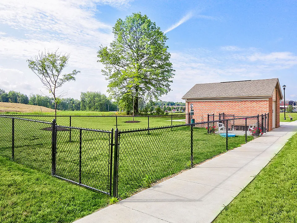 Dog park