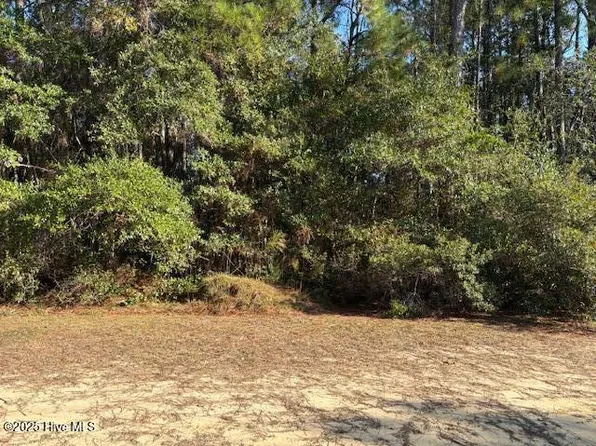 2266 Hoffman Road SW, Supply, NC 28462