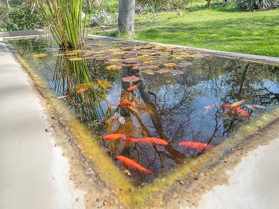 4th image of 44294 Sequoia Oaks Drive