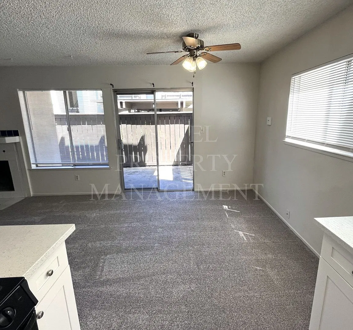 COL3701 — Photo 3