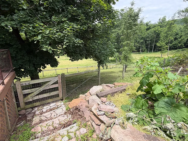 Kutz Farm Dr — Photo 19