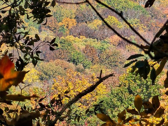 3rd image of 22.4 ACRES County Road 9