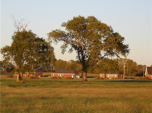 1st image of 182 Holly Ct Lot 17