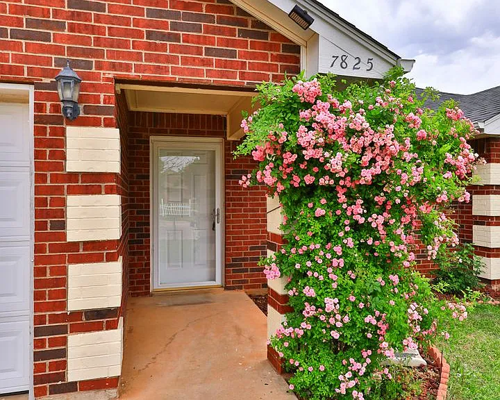 7825 Thompson Pkwy — Photo 1