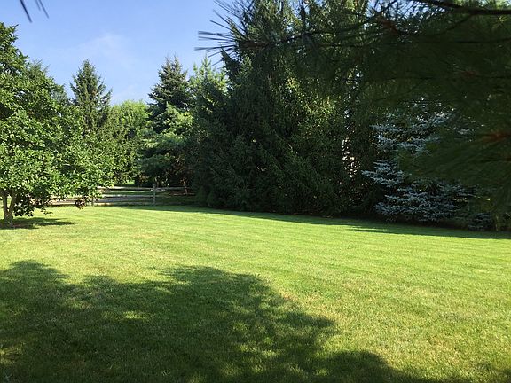 Private yard, mature pines