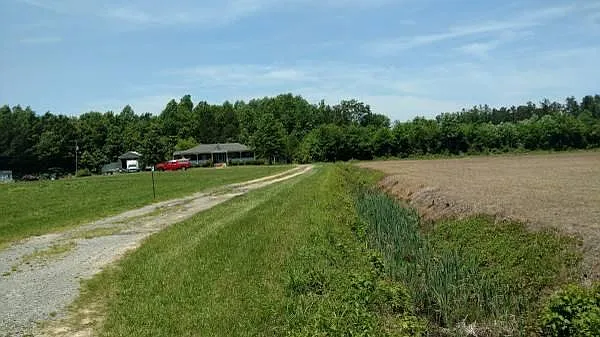 Little Fork Rd — Photo 4