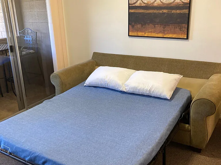 Living room sofa folds out into a bed