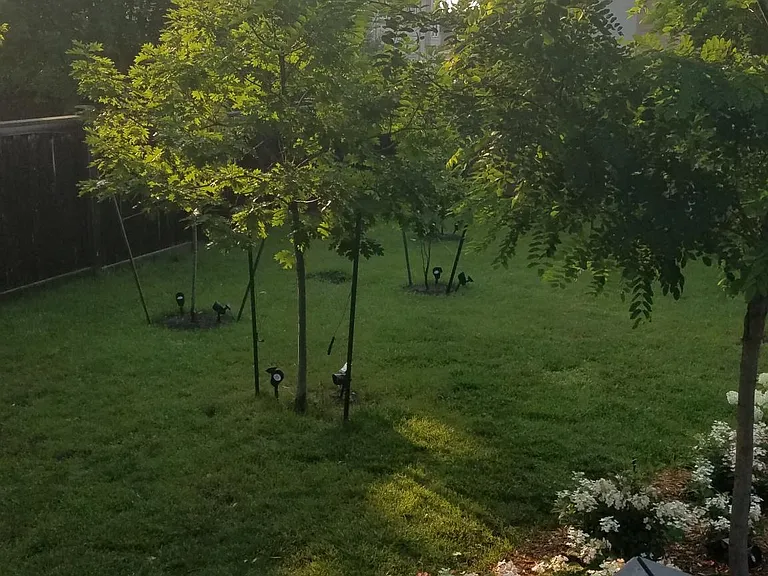 Backyard garden/view. We have installed approximately 40 high end solar lights to brighten the lawn at night and we have 25 trees in this large backyard in addition to gardens. Full access to backyard for potential tenants.