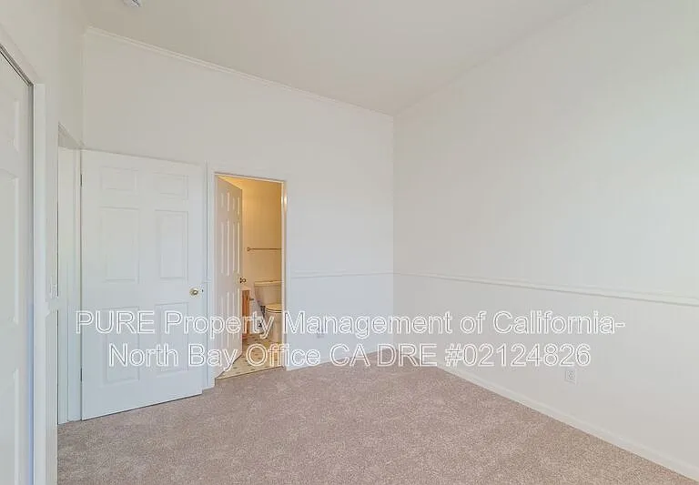 599 Spruce St — Photo 13