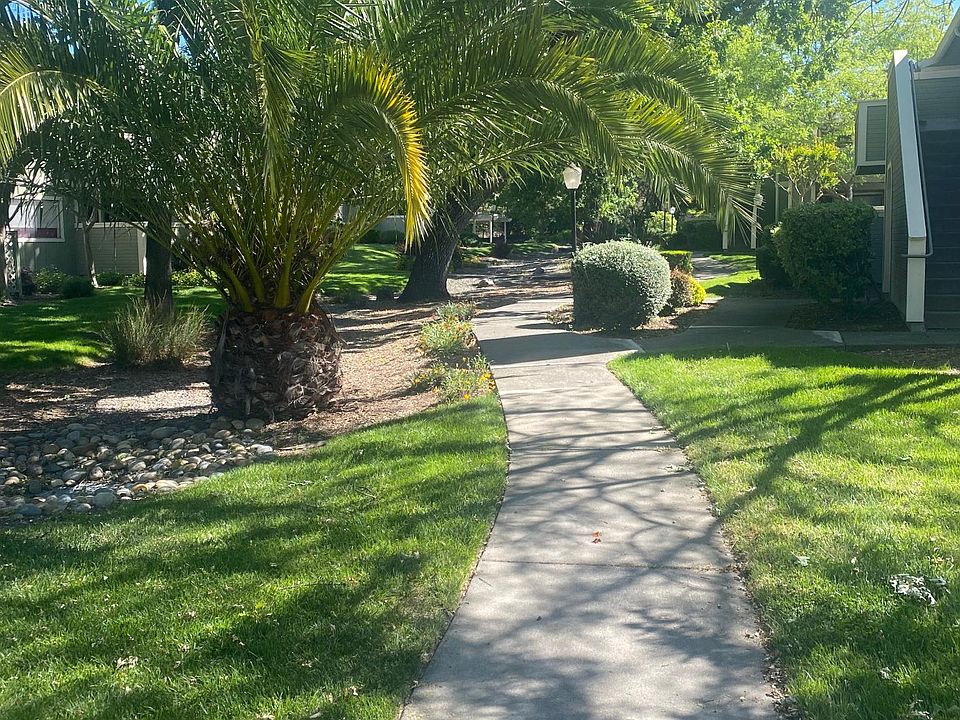 Condominium Complex