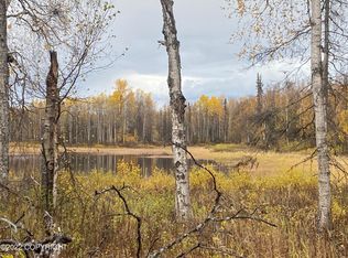 Ne1/4 Of Ne1/4 Section 25 T22n R4w #M, Willow, AK 99688