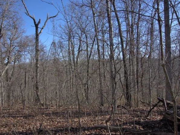 000 Aloha Lane, Noel, MO 64854