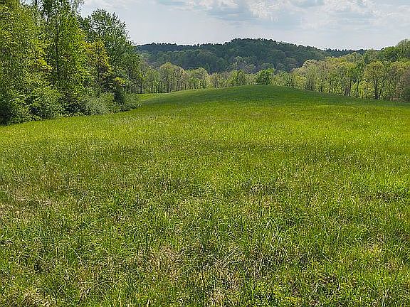 2nd image of 3100 Hogue Hollow Rd