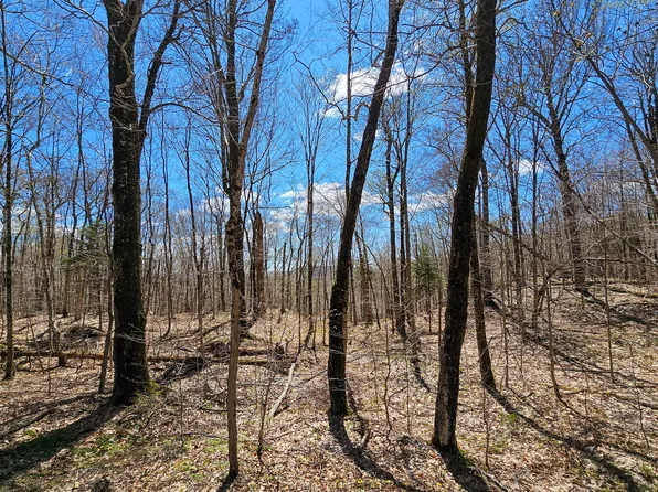 0 Palisades Rd W, Old Forge, NY 13420