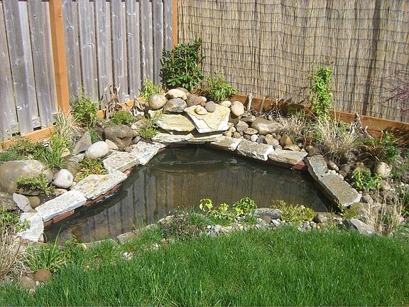 Landscaped Yard