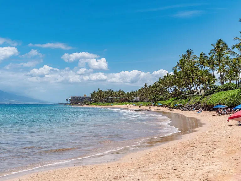 Wailea Alanui Dr — Photo 48