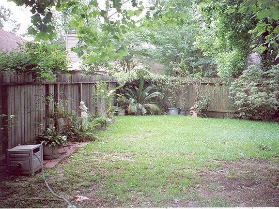 Shady Back Yard