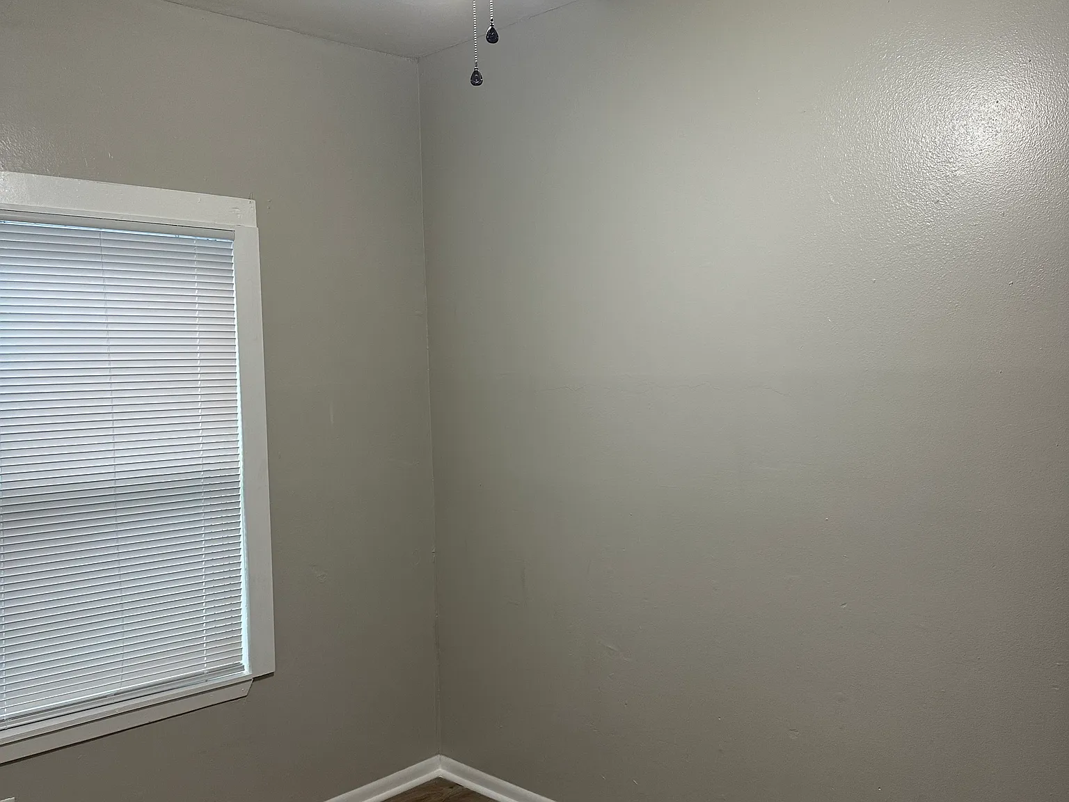 217 Carys Ln — Photo 3