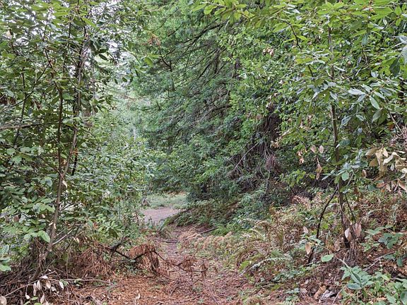 5th image of 1355 Nicasio Valley Road