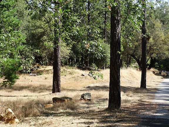 5th image of 0 Bear Canyon Ct