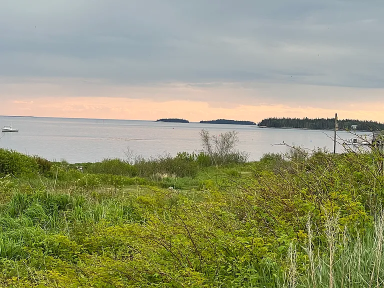Sadler Point — Photo 6