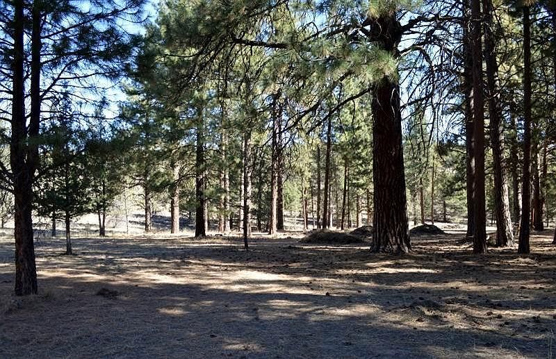1st image of 0 Overland Dr