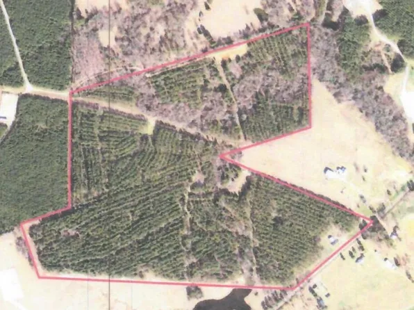 5694 Fm 124 W, Beckville, TX 75631