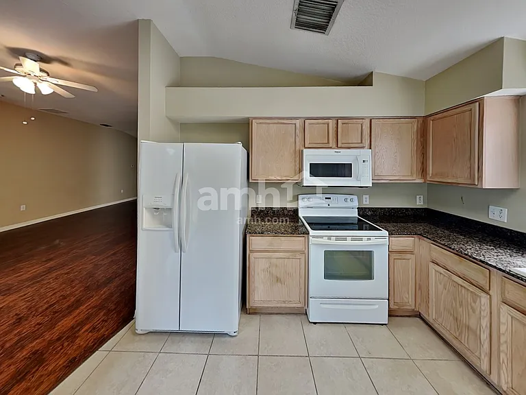 30907 Midtown Ct — Photo 3
